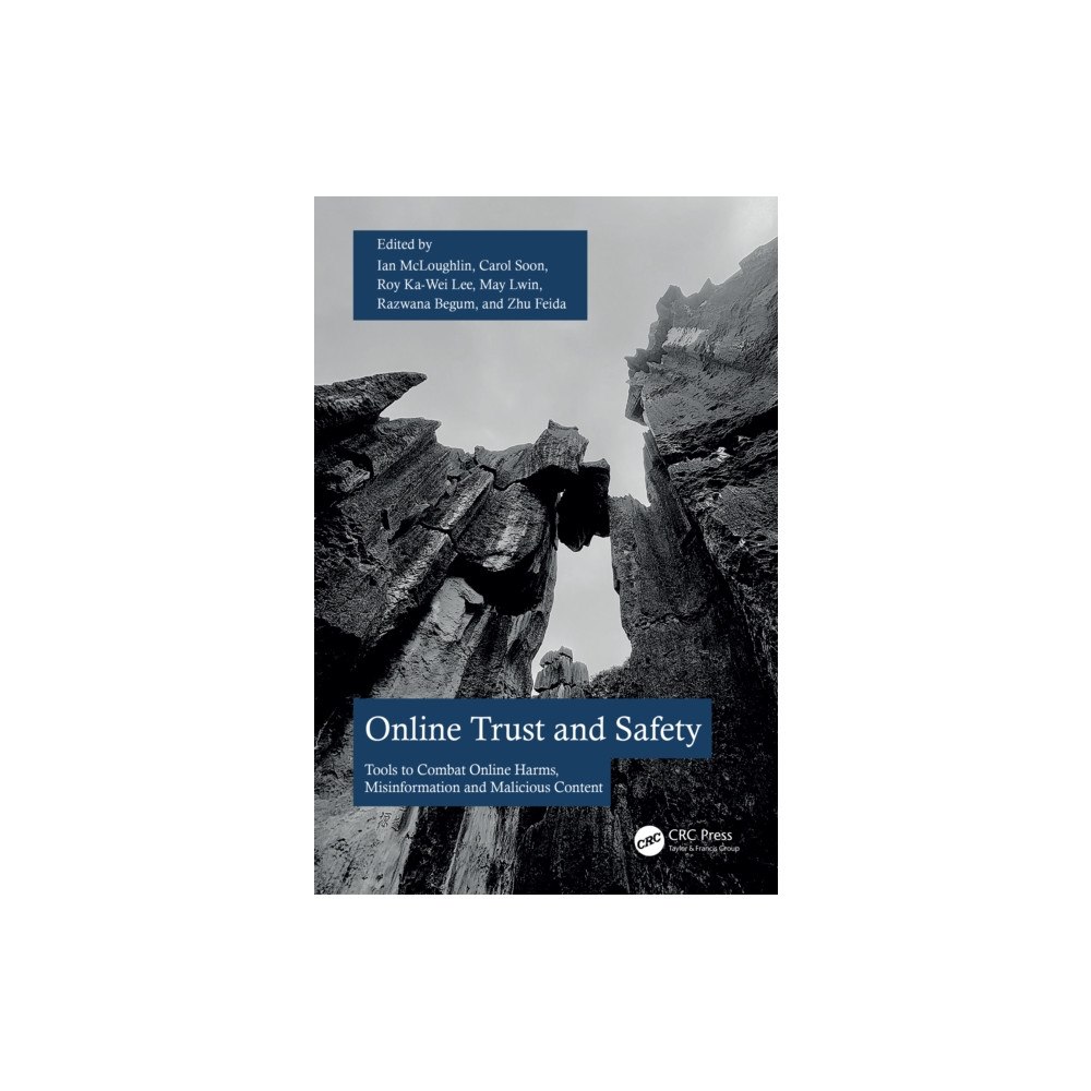 Taylor & francis ltd Online Trust and Safety (häftad, eng)