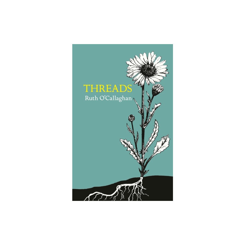 Two Rivers Press Threads (häftad, eng)