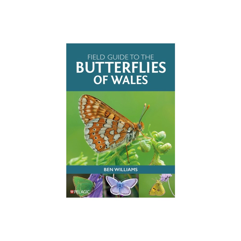Pelagic Publishing Field Guide to the Butterflies of Wales (häftad, eng)