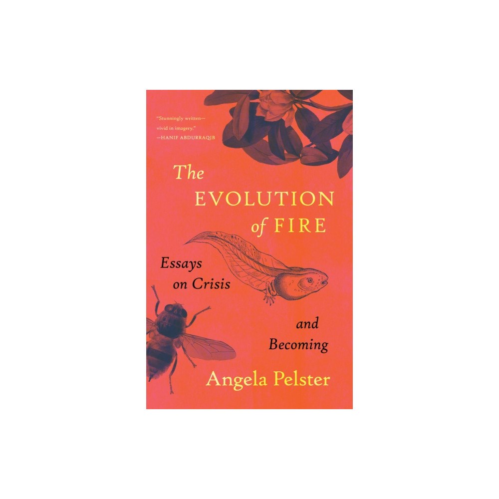 Milkweed Editions The Evolution of Fire (häftad, eng)