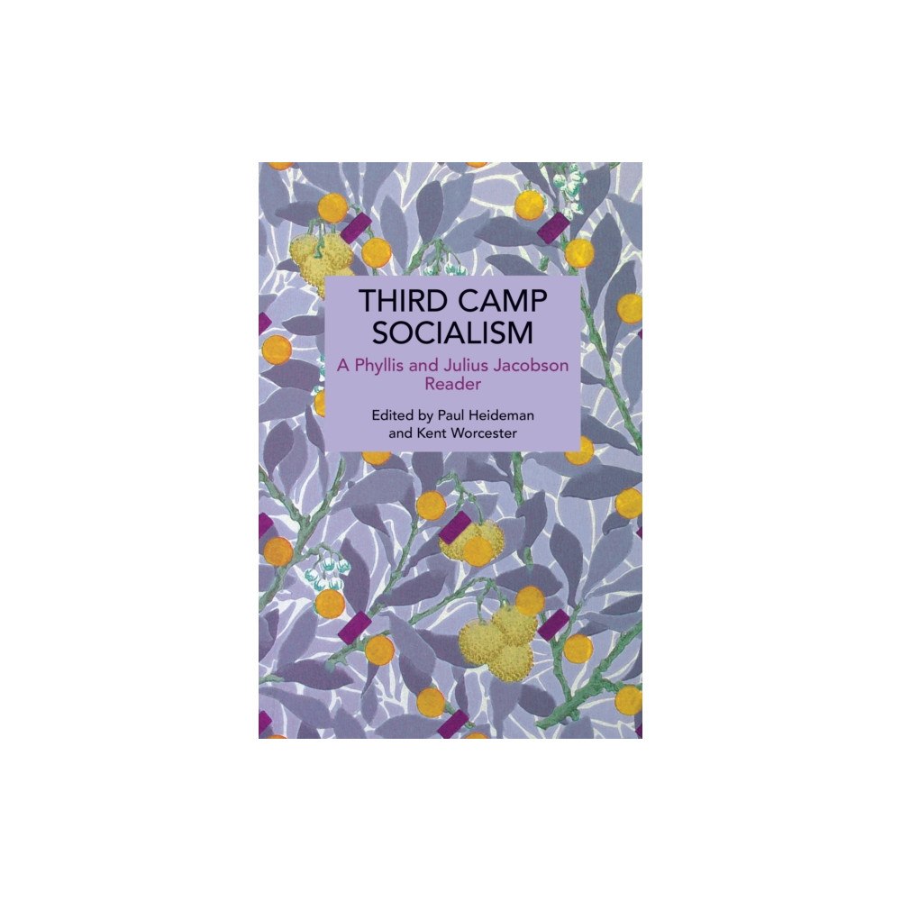 Haymarket Books Third Camp Socialism (häftad, eng)