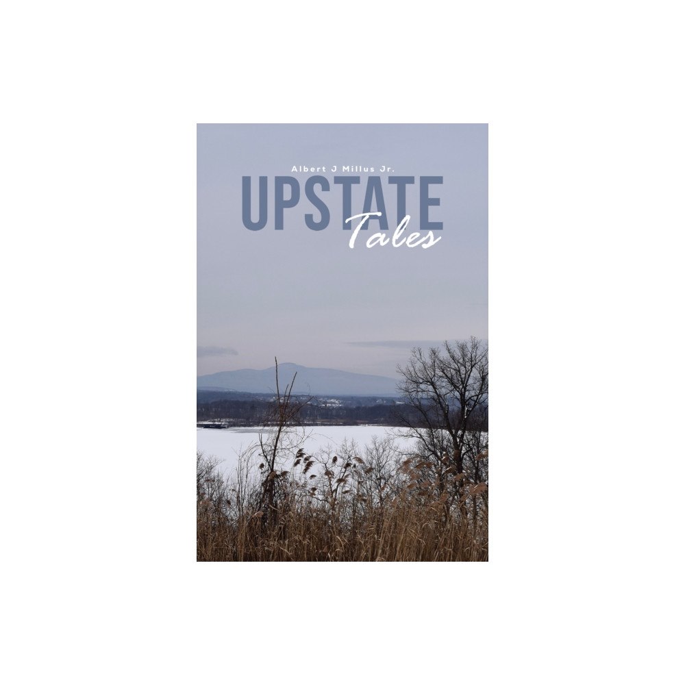 Austin Macauley Publishers Upstate Tales (häftad, eng)