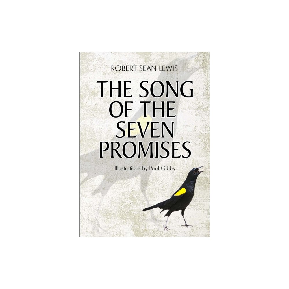 i2i Publishing The Song of the Seven Promises (häftad, eng)