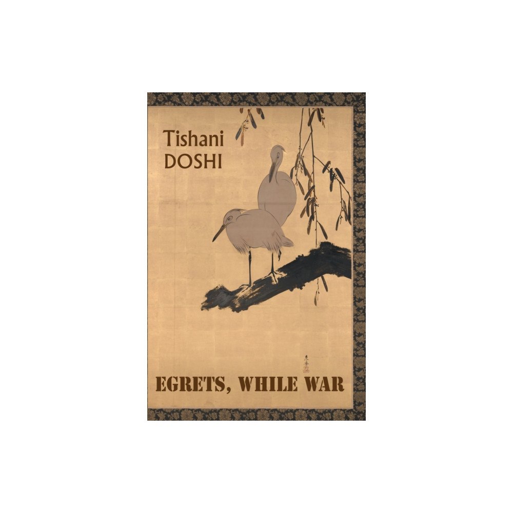 Bloodaxe Books Ltd Egrets, While War (häftad, eng)