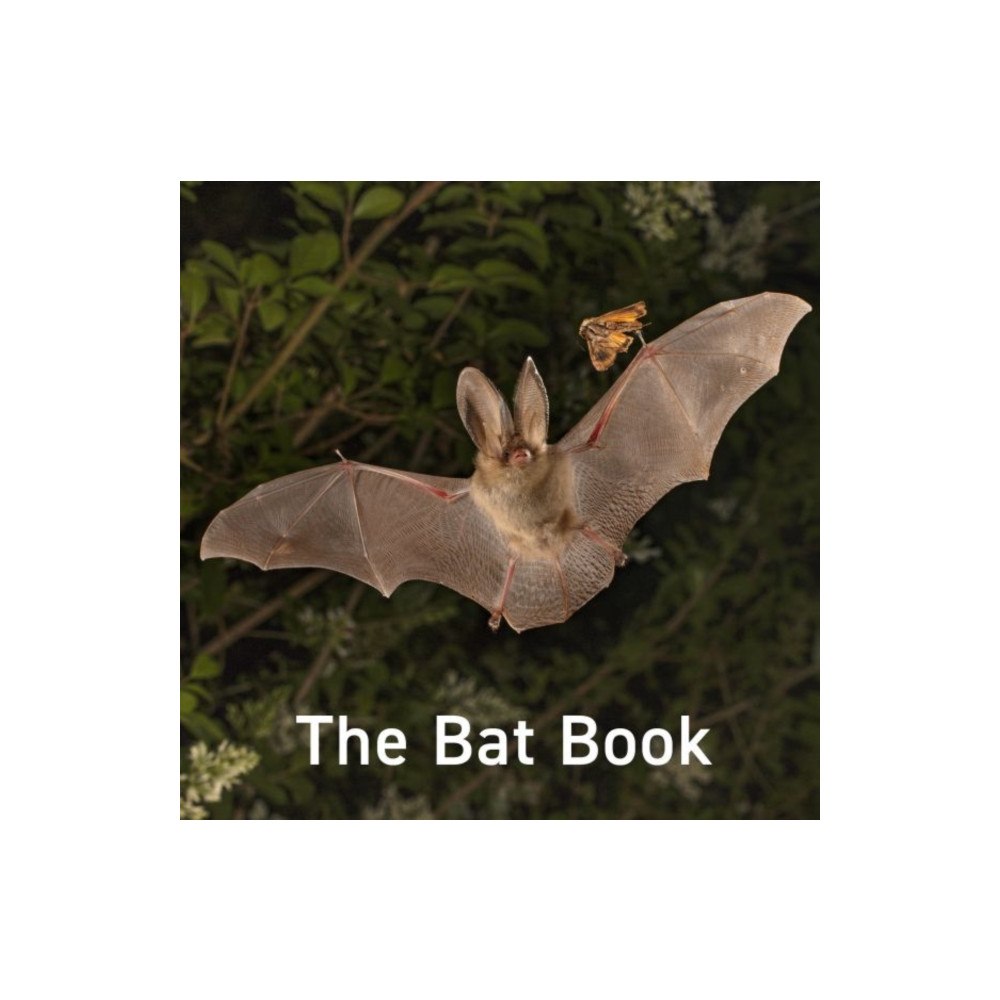 Graffeg Limited The Bat Book (inbunden, eng)