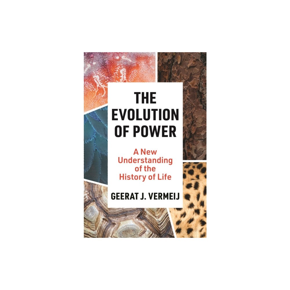 Princeton University Press The Evolution of Power (häftad, eng)