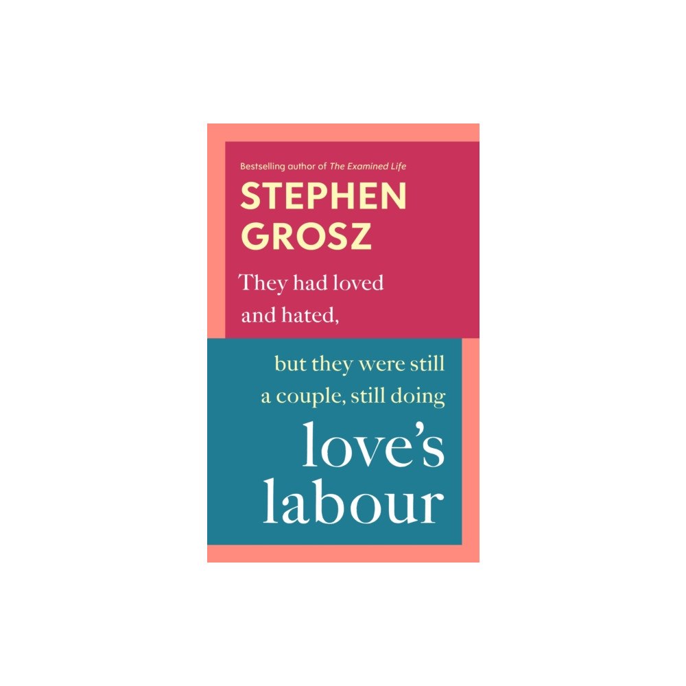 Vintage Publishing Love’s Labour (häftad, eng)