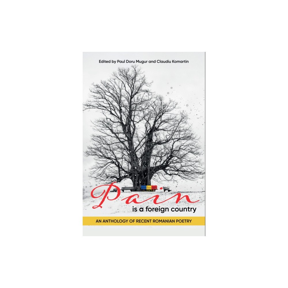 Histria LLC Pain Is a Foreign Country (häftad, eng)