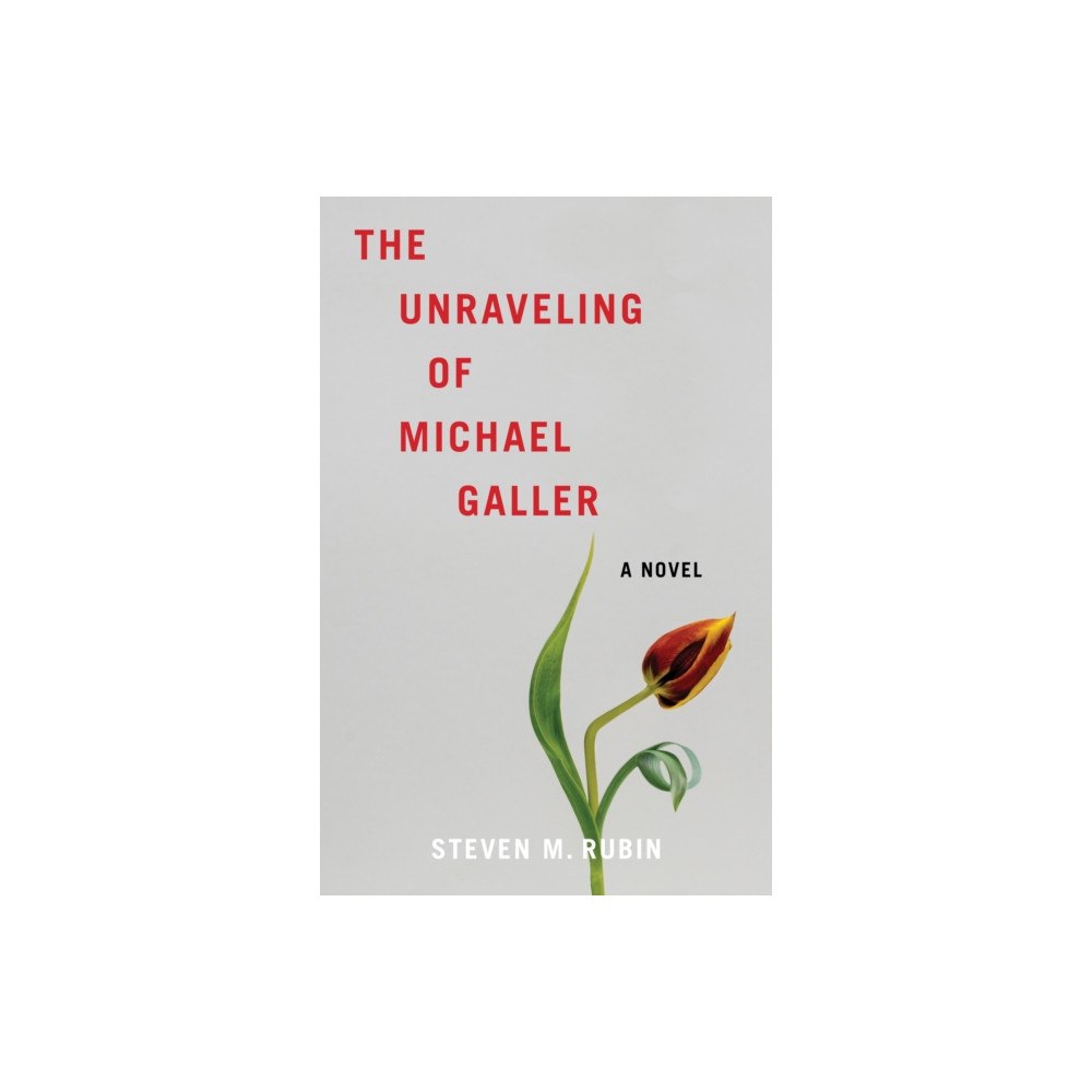 She Writes Press The Unraveling of Michael Galler (häftad, eng)