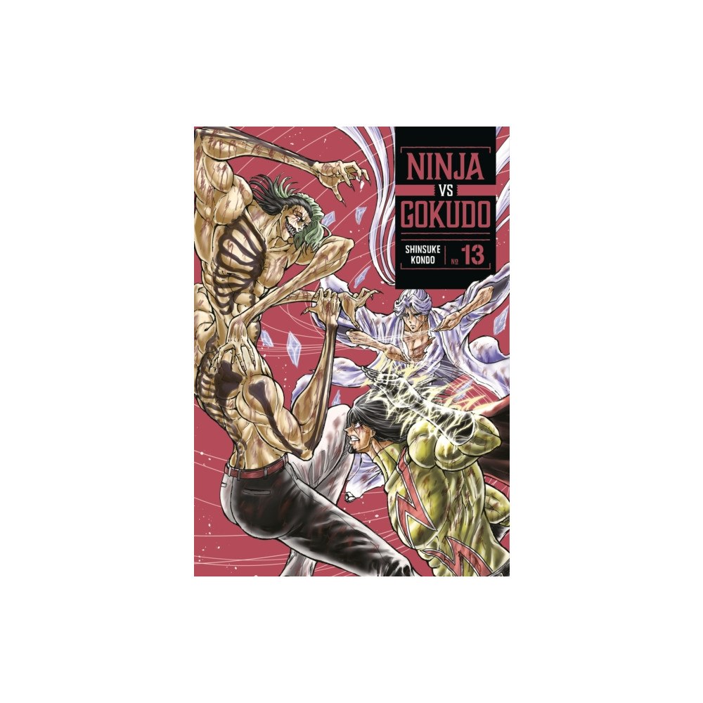 Kodansha America, Inc Ninja Vs. Gokudo 13 (häftad, eng)