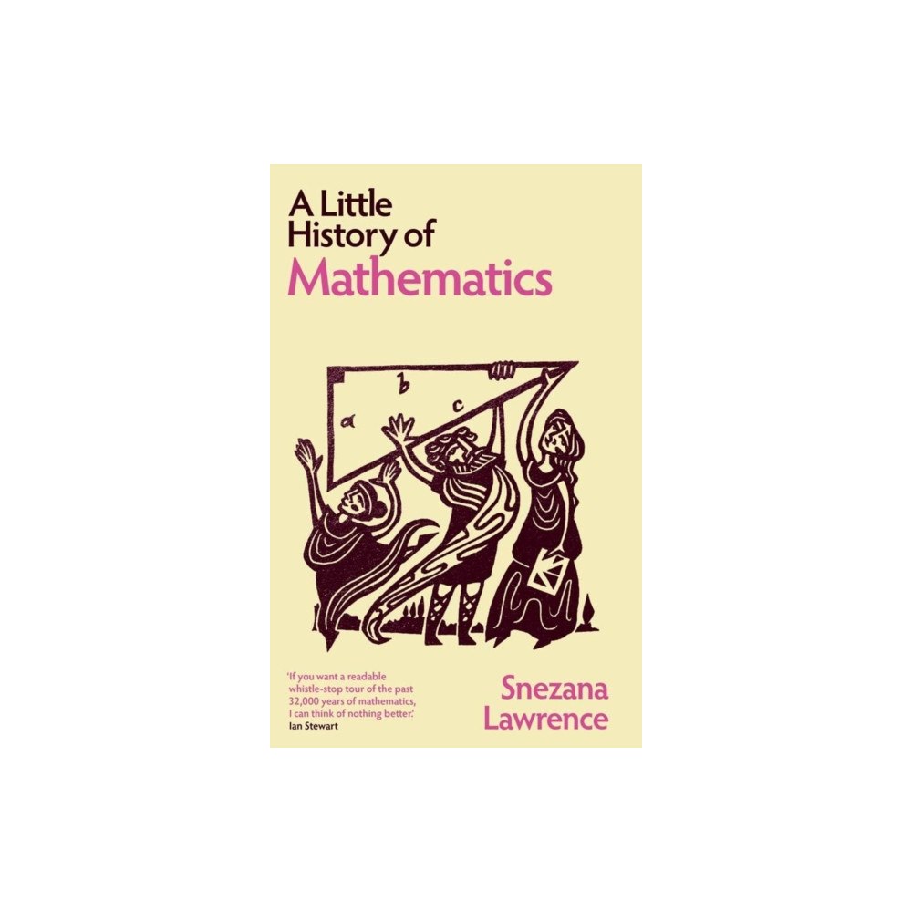 Yale university press A Little History of Mathematics (häftad, eng)