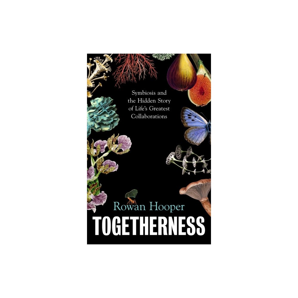 Vintage Publishing Togetherness (häftad, eng)