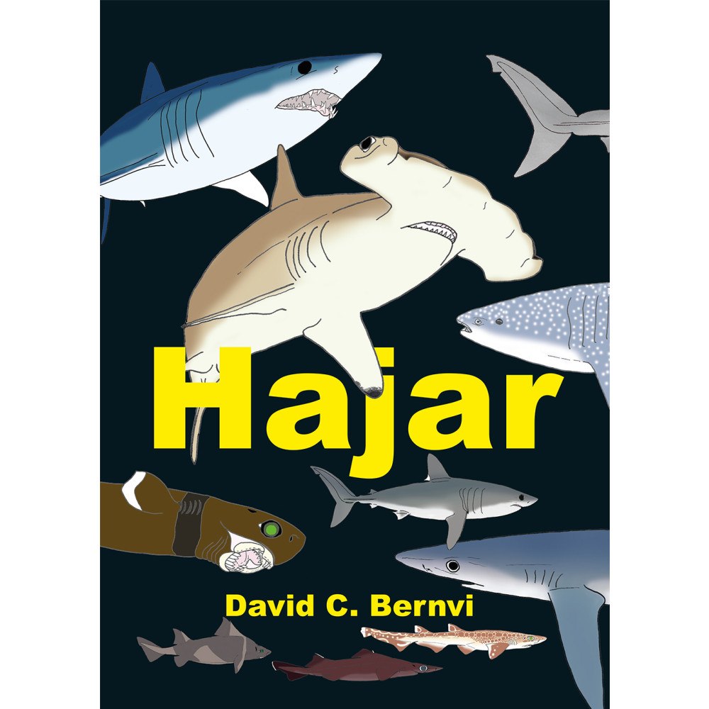 David C. Bernvi Hajar : en spännande faktabok (inbunden)