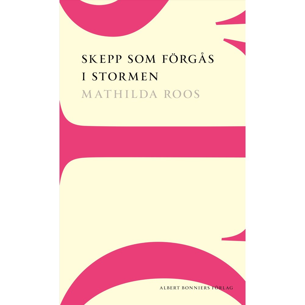 Mathilda Roos Skepp som förgås i stormen (häftad)