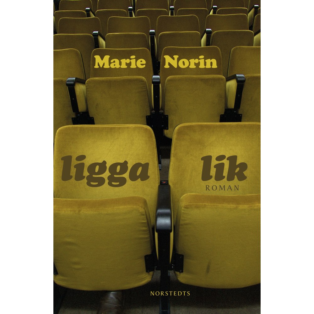 Marie Norin Ligga lik (häftad)