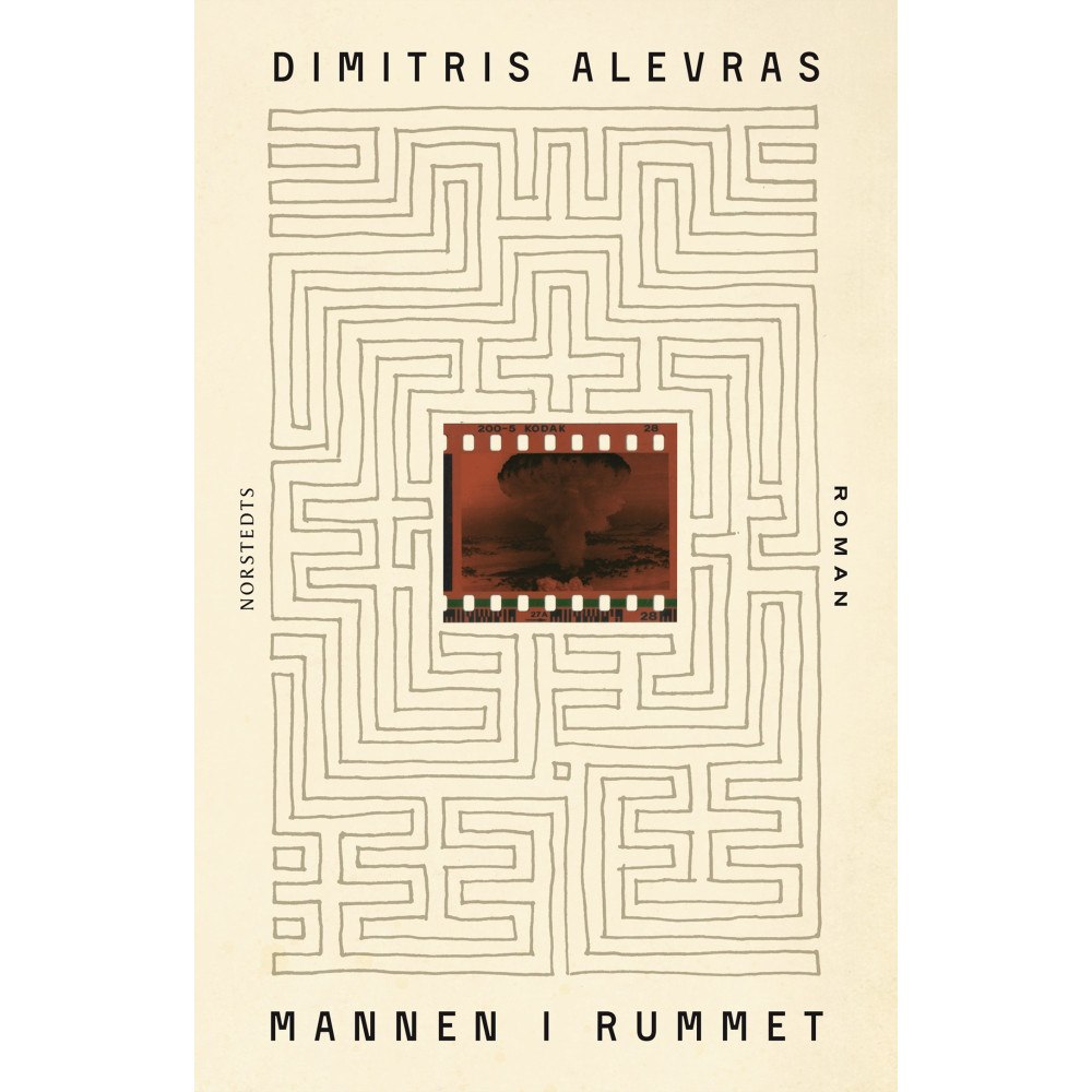 Dimitris Alevras Mannen i rummet (häftad)
