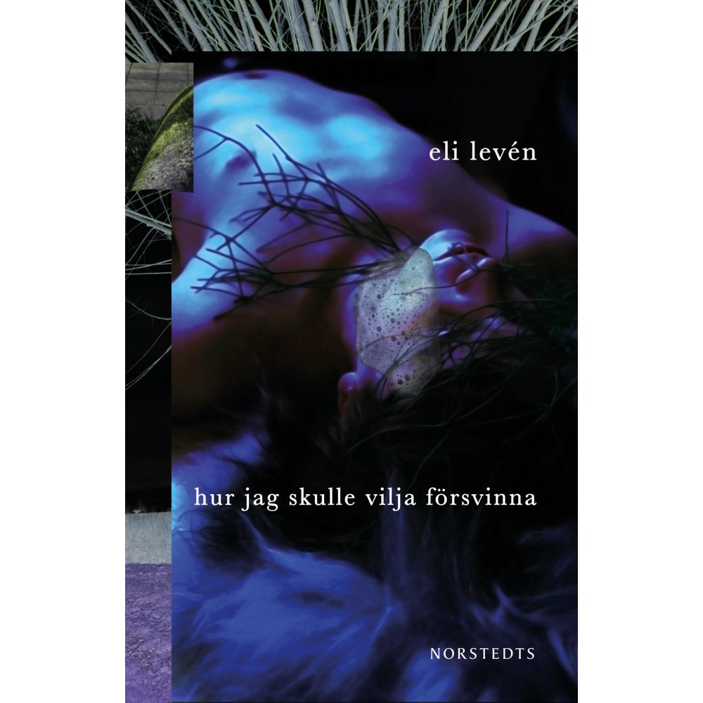 Eli Levén Hur jag skulle vilja försvinna (häftad)