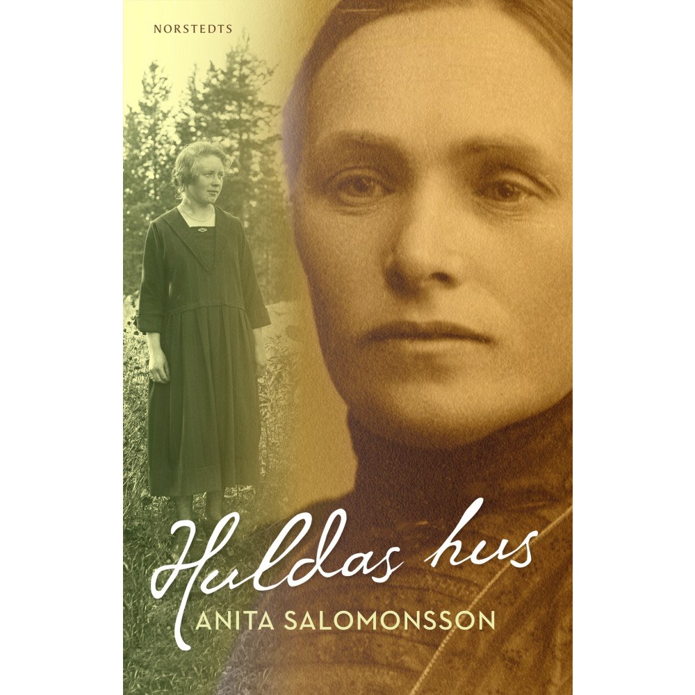Anita Salomonsson Huldas hus (häftad)