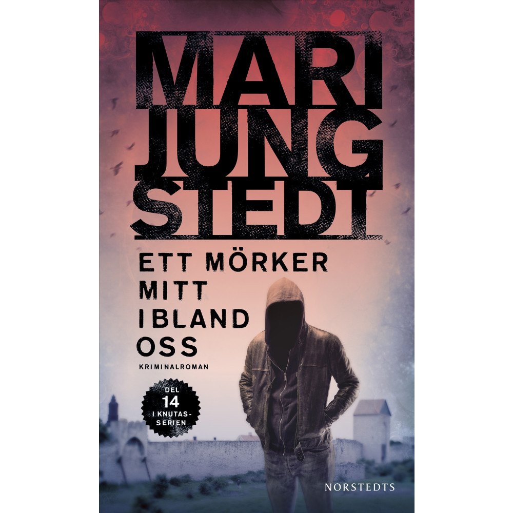 Mari Jungstedt Ett mörker mitt ibland oss (häftad)