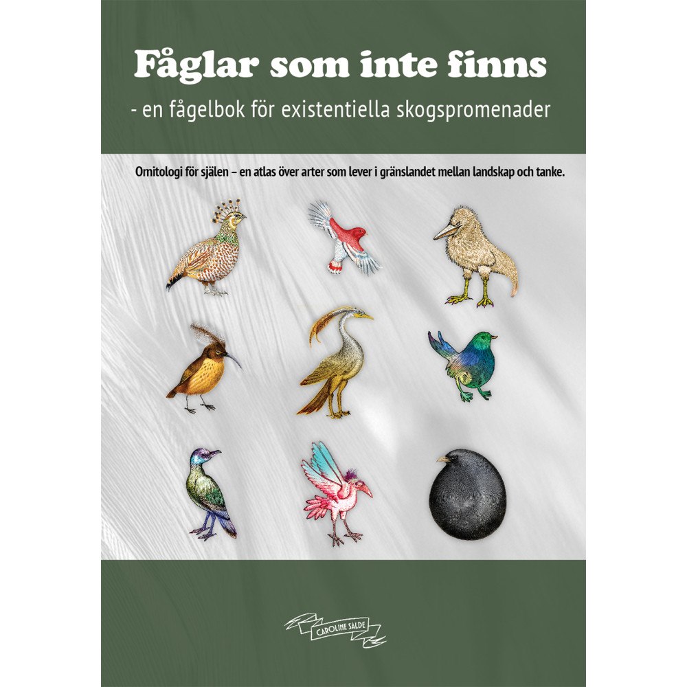 Caroline Salde Fåglar som inte finns : en fågelbok för existentiella skogspromenader (häftad)