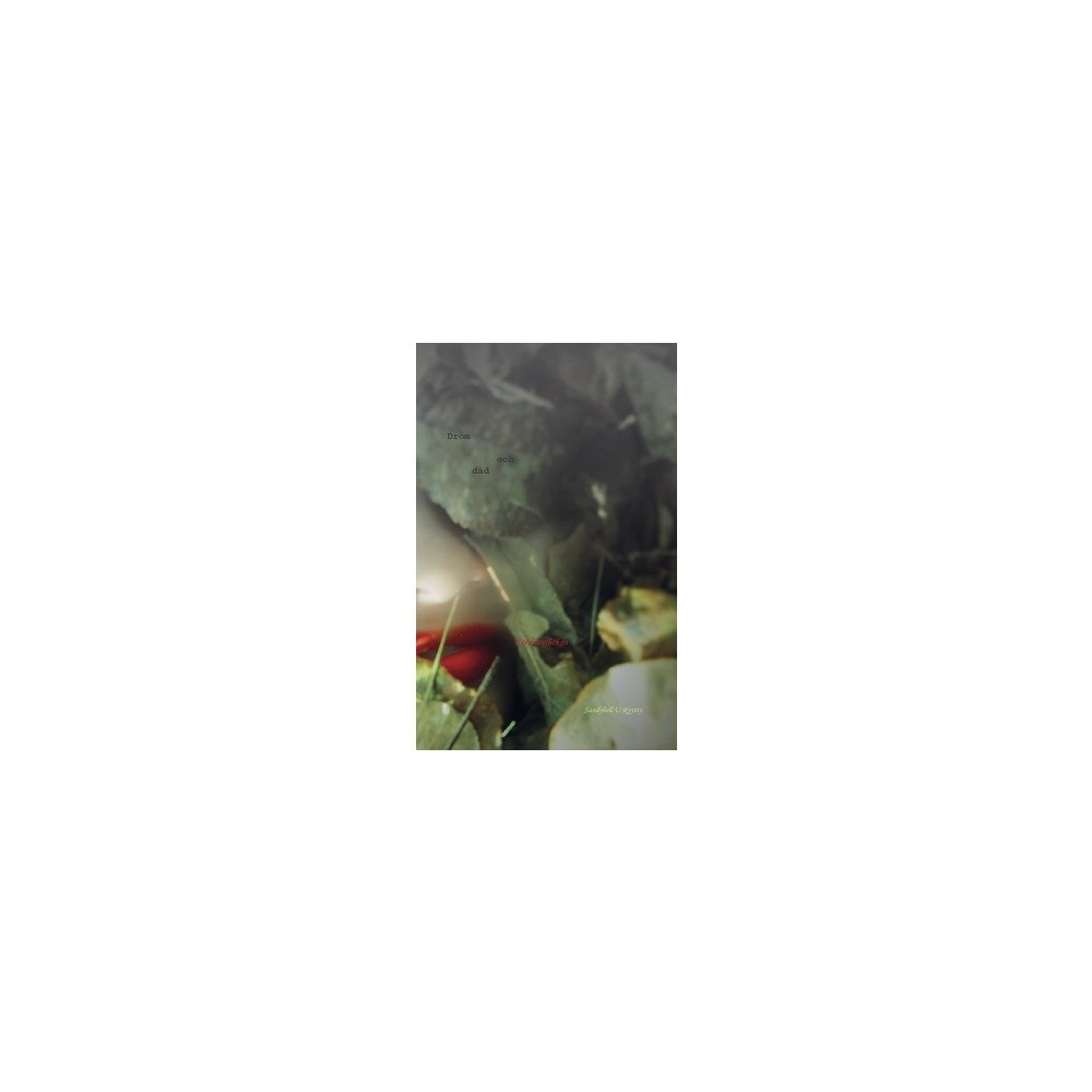 Sandybell U Ryytty Dröm och dåd : körsbärsflickan (häftad)