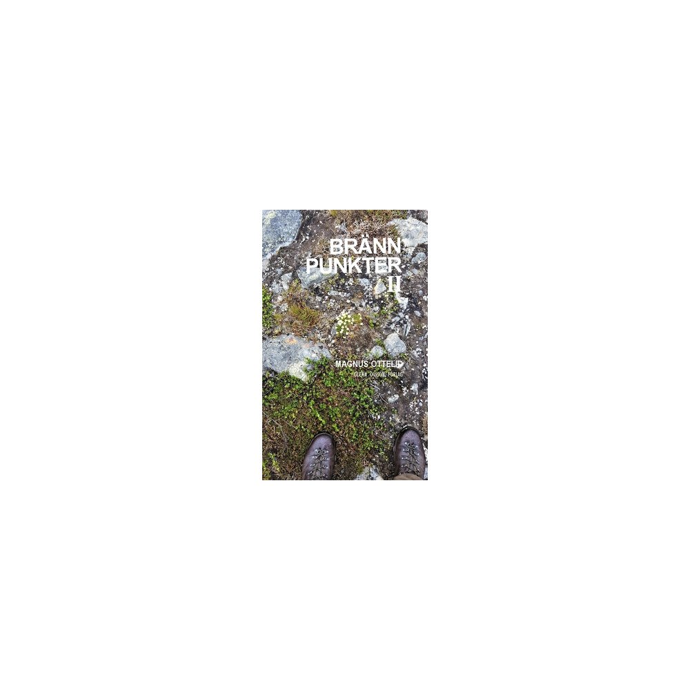 Magnus Ottelid Brännpunkter II : noveller (häftad)