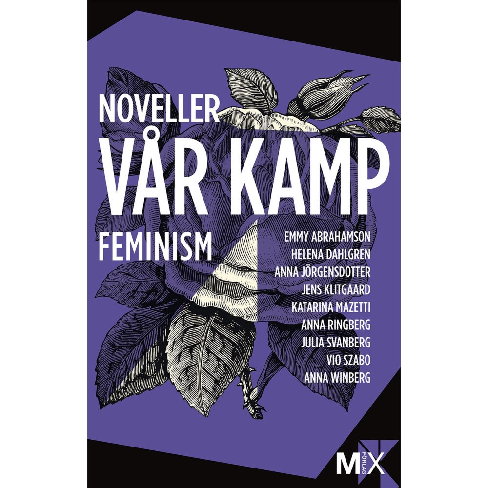 Emmy Abrahamson Vår kamp : feministiska noveller (häftad)