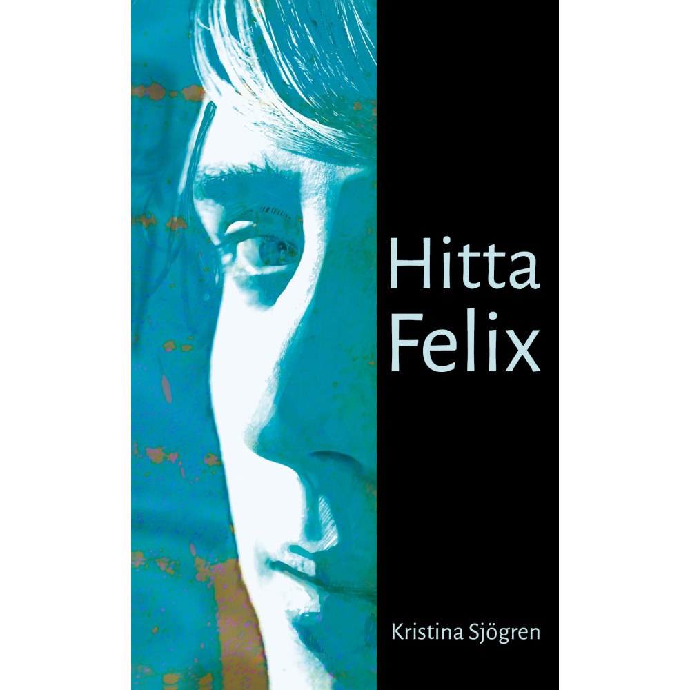 Kristina Sjögren Hitta Felix (häftad)