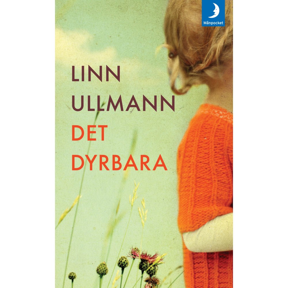 Linn Ullmann Det dyrbara (pocket)