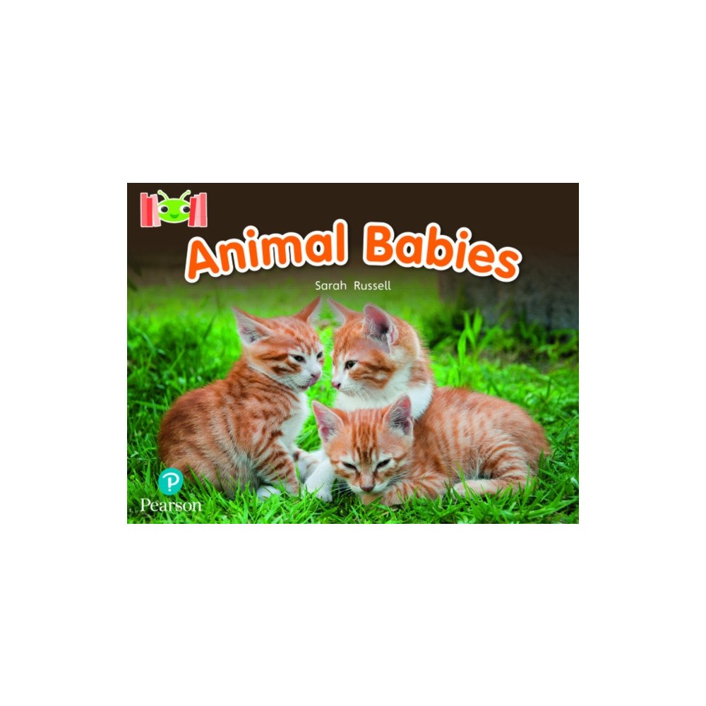 Pearson Education Limited Bug Club Reading Corner: Age 4-7: Animal Babies (häftad, eng)