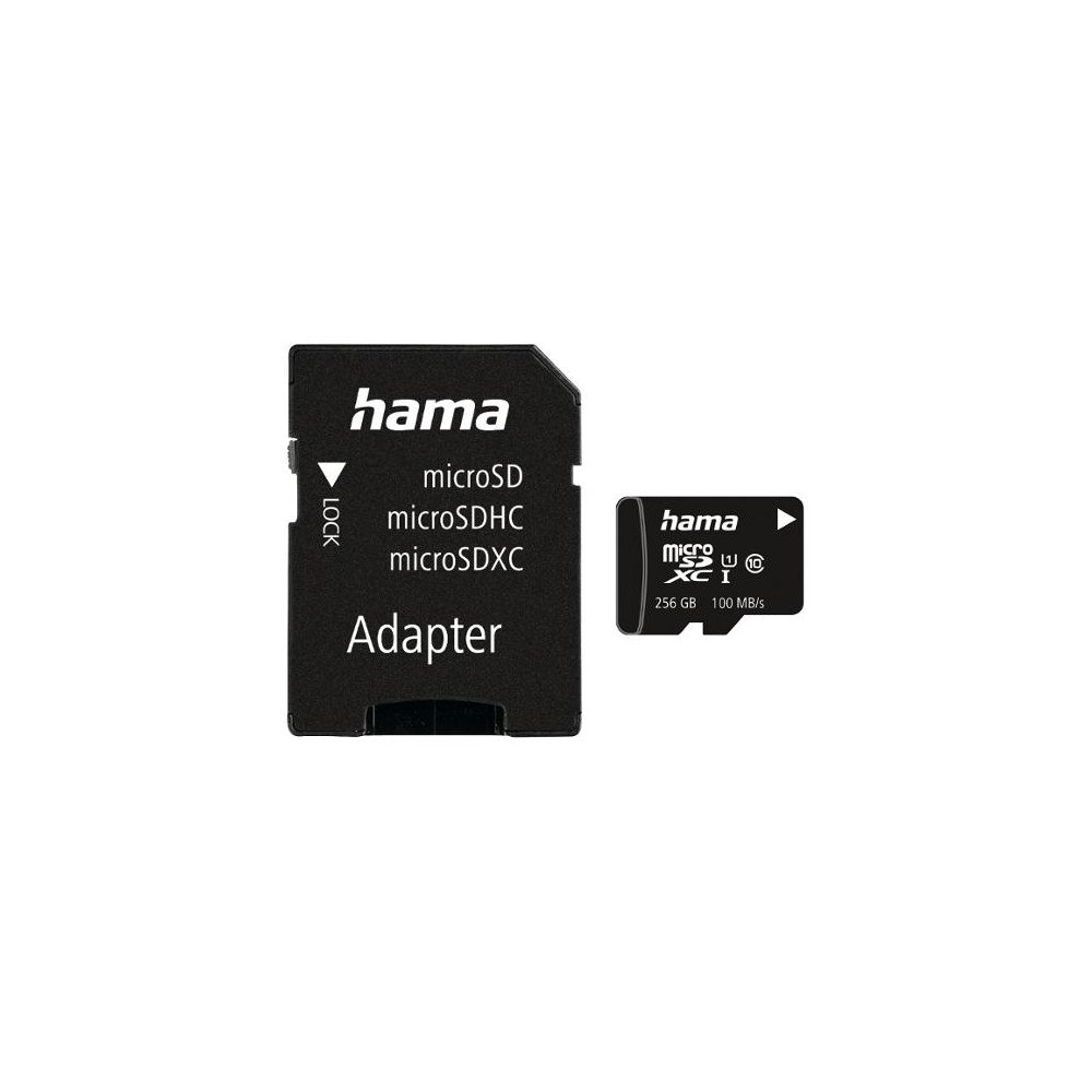 Hama Minneskort HAMA Micro SDHC 256GB CL10
