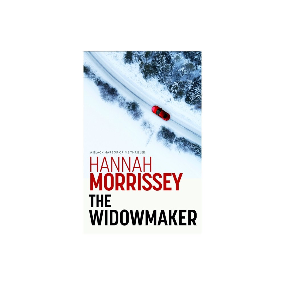 Bedford Square Publishers The Widowmaker (häftad, eng)