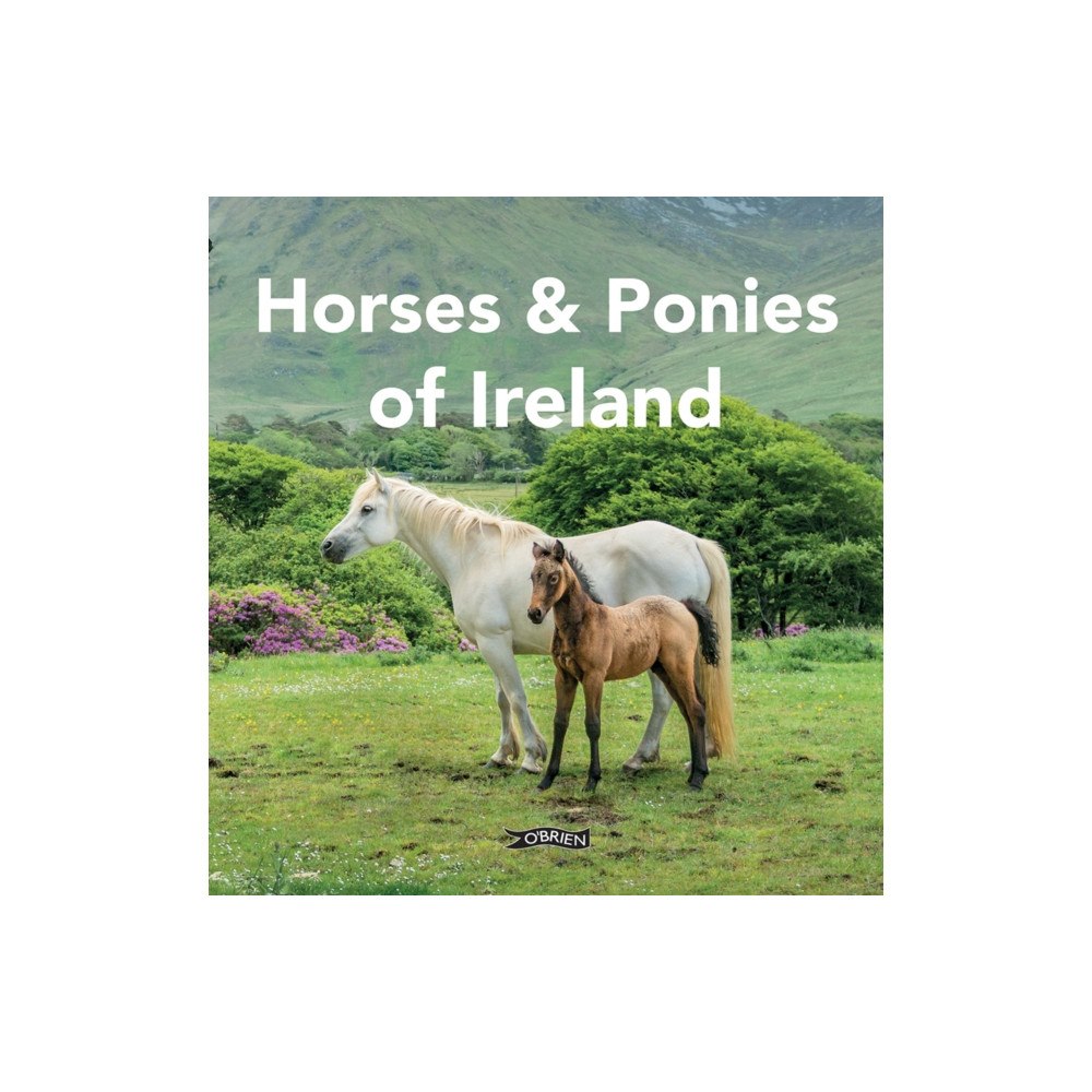 O'Brien Press Ltd Horses and Ponies of Ireland (inbunden, eng)