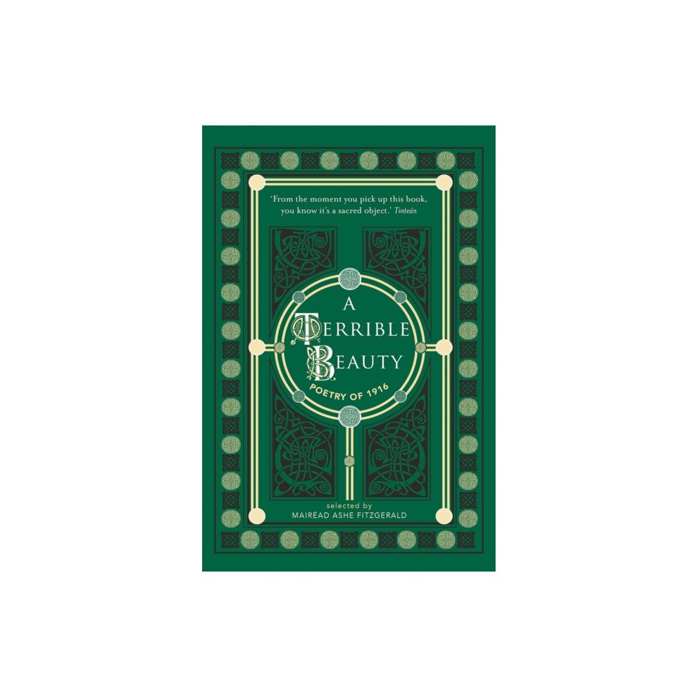 O'Brien Press Ltd A Terrible Beauty (häftad, eng)