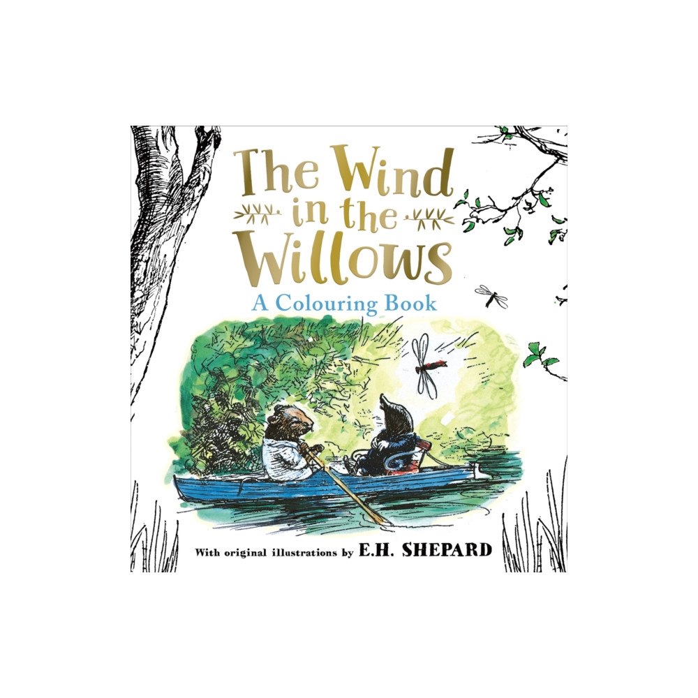 HarperCollins Publishers Wind in the Willows Colouring Book (häftad, eng)