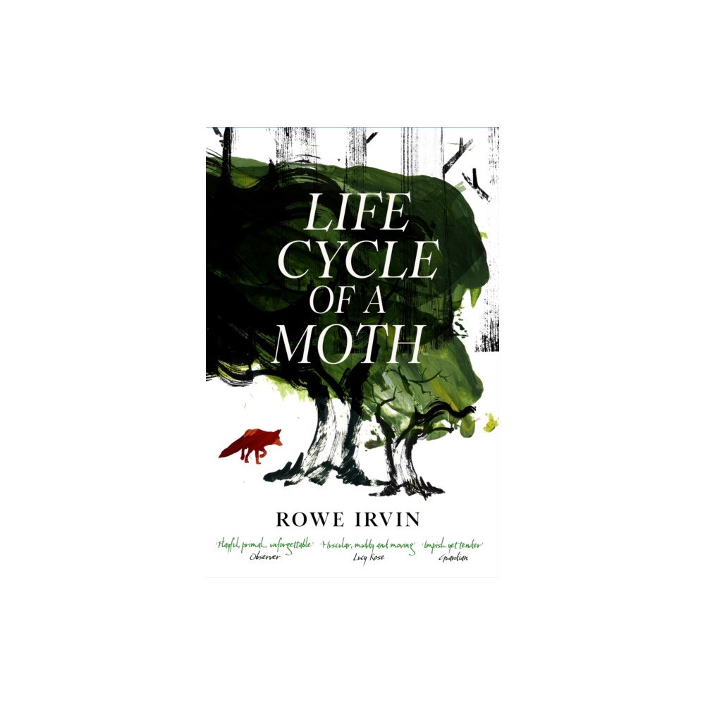 Canongate Books Life Cycle of a Moth (häftad, eng)