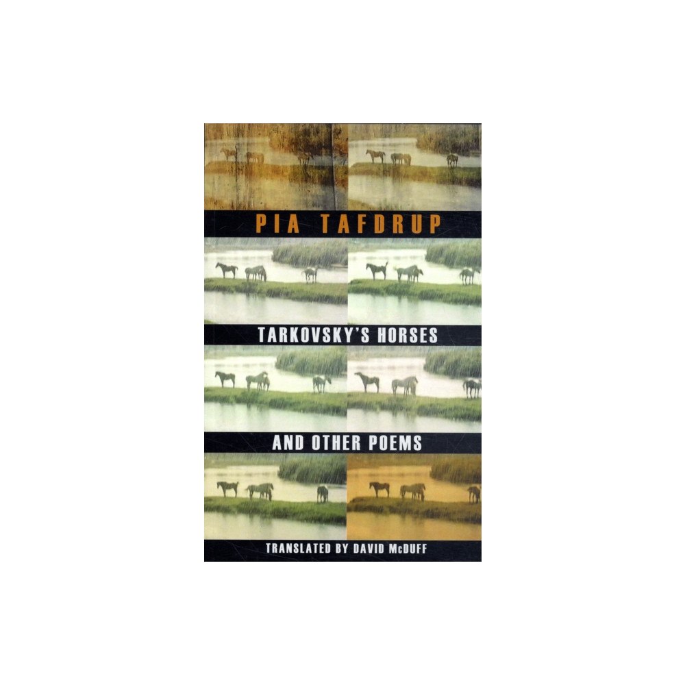 Bloodaxe Books Ltd Tarkovsky's Horses and other poems (häftad, eng)