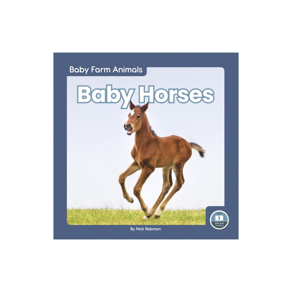 North Star Editions Baby Horses (inbunden, eng)