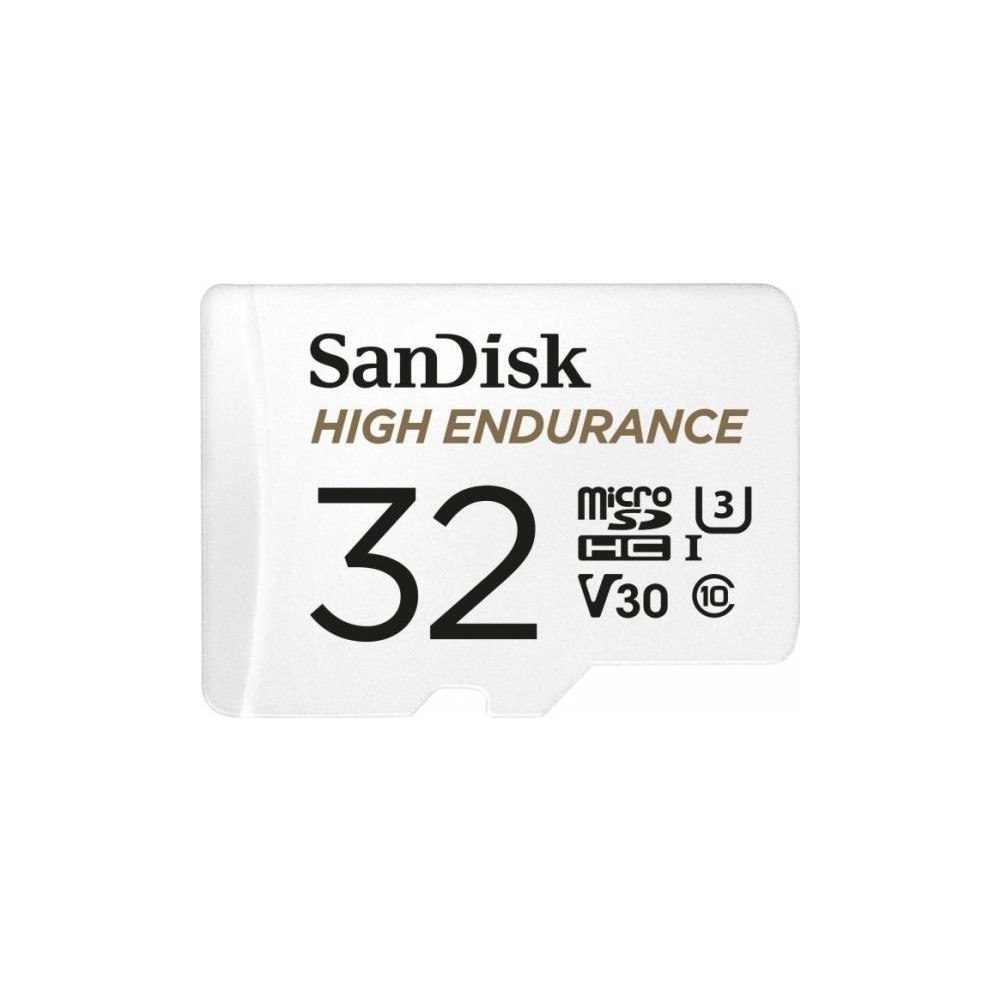 SANDISK SanDisk High Endurance