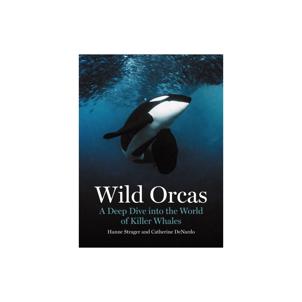 Princeton University Press Wild Orcas (inbunden, eng)