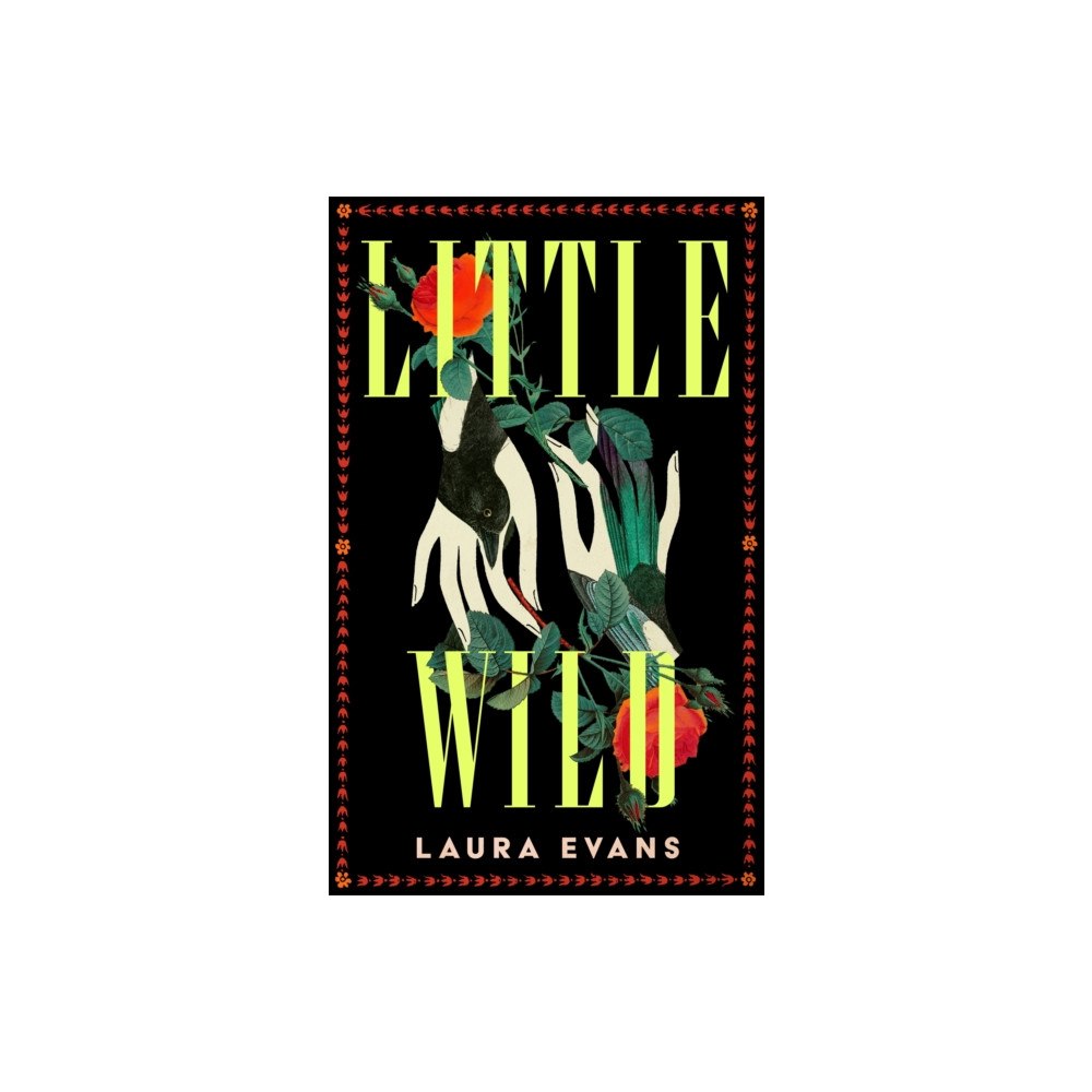 Pan Macmillan Little Wild (häftad, eng)