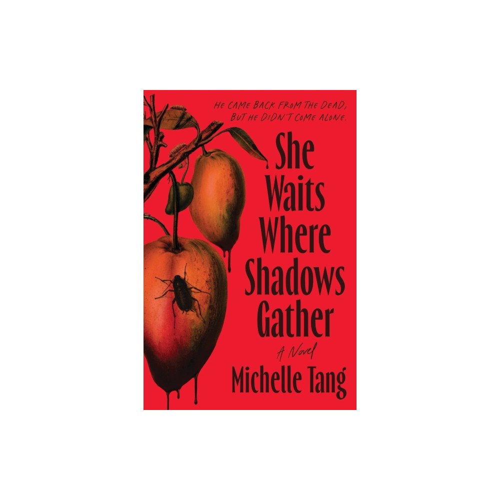 Sourcebooks, Inc She Waits Where Shadows Gather (häftad, eng)