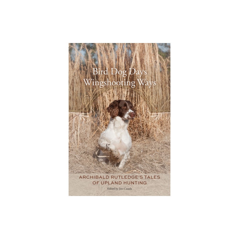 University of South Carolina Press Bird Dog Days, Wingshooting Ways (häftad, eng)