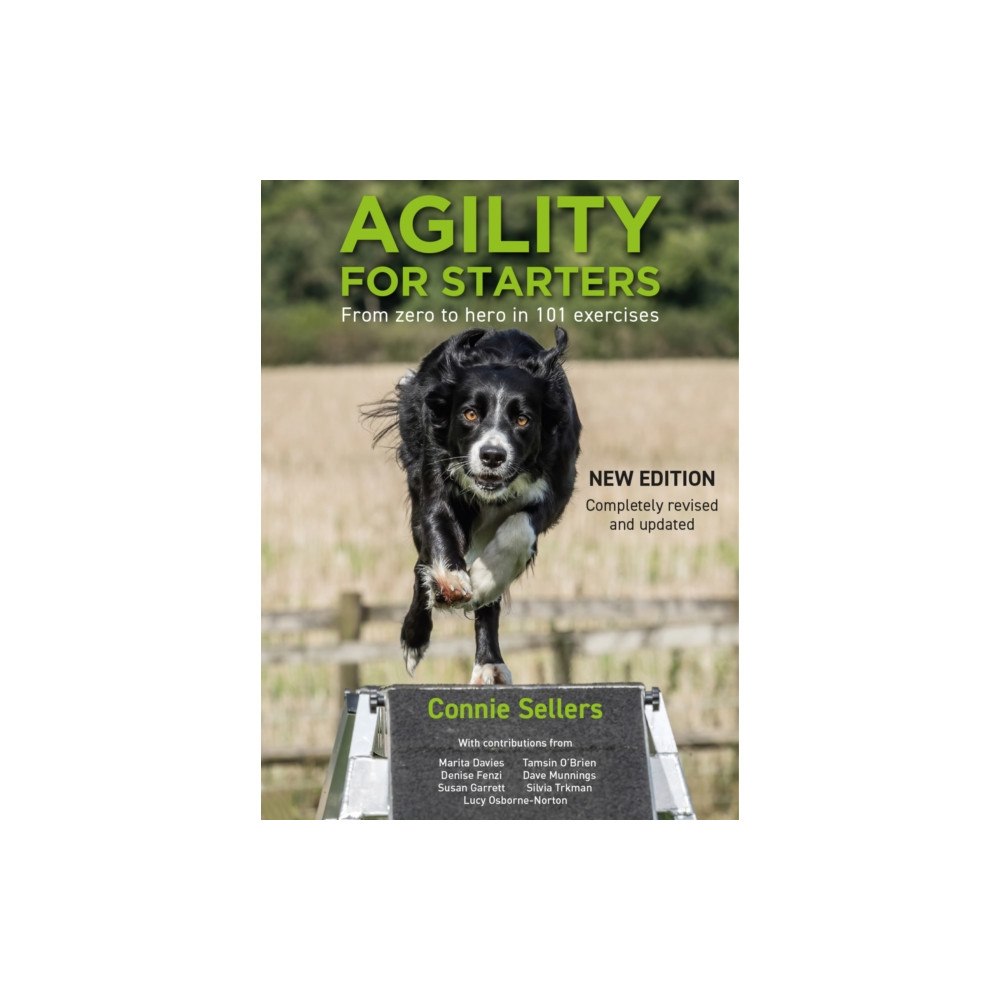 First Stone Publishing Agility For Starters (häftad, eng)