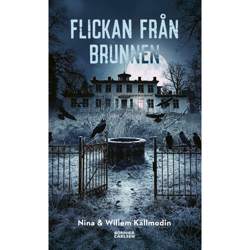 Nina Källmodin Flickan från brunnen (bok, kartonnage)