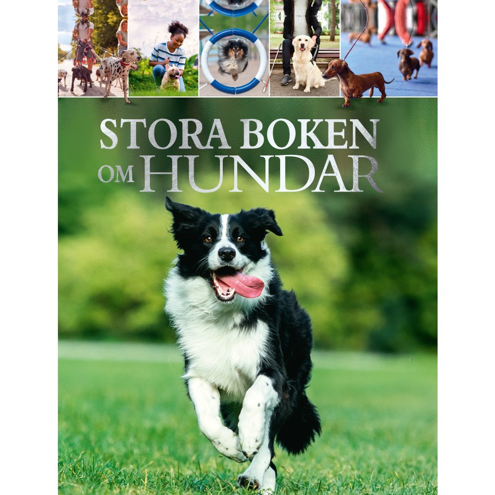 Barthelson Förlag Stora boken om hundar (inbunden)