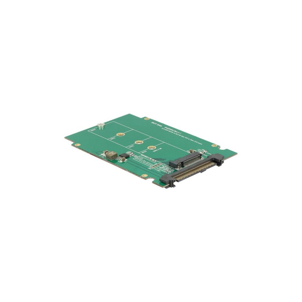 DeLOCK Delock Converter U.2 SFF-8639 > M.2 NGFF NVMe Key M - adapter för lagringsfack
