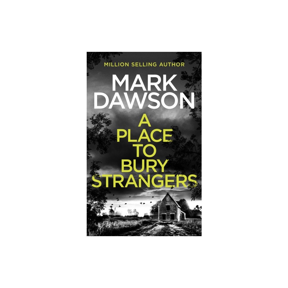Unputdownable Limited A Place to Bury Strangers (häftad, eng)