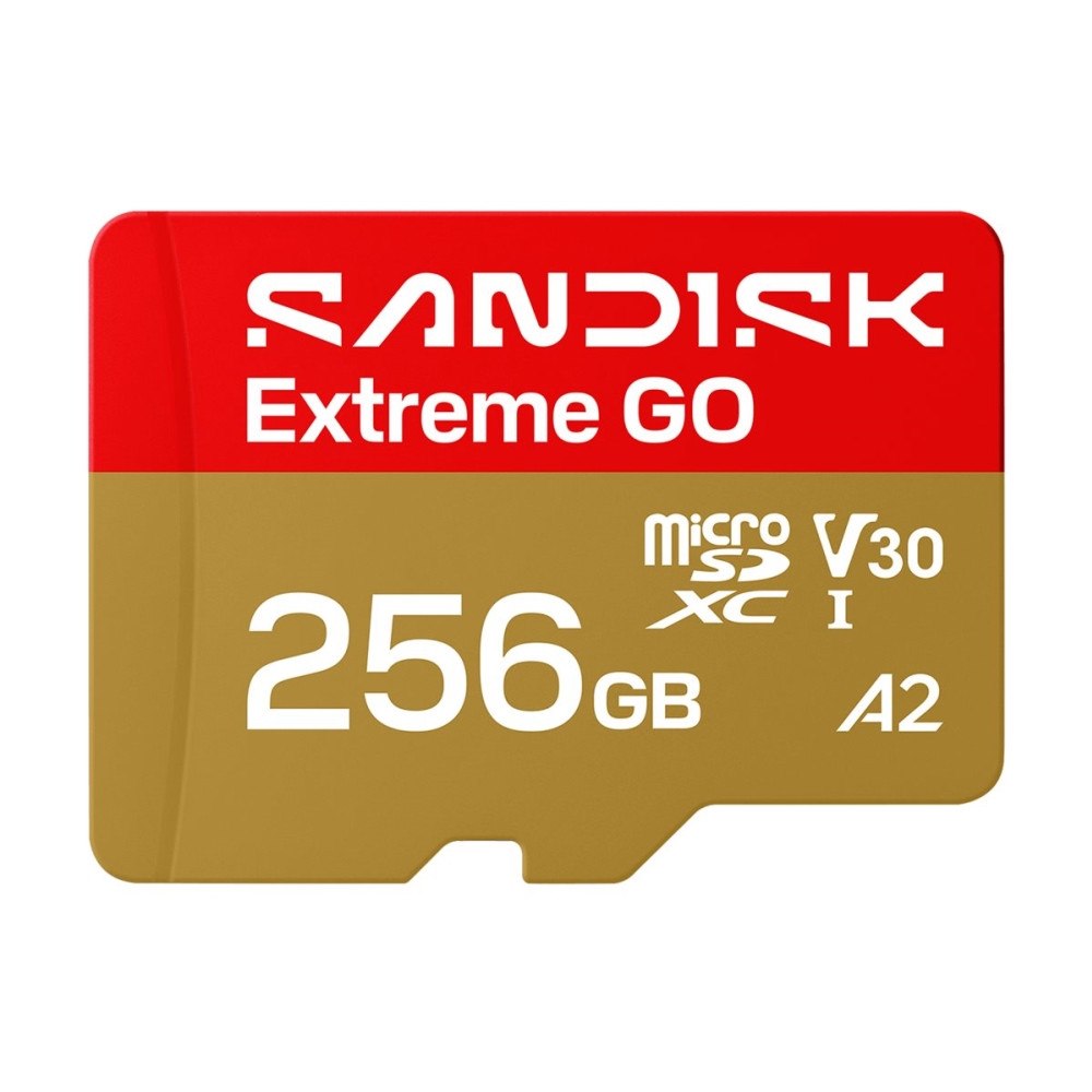 SANDISK SanDisk Extreme Go - flash-minneskort - 256 GB - microSDHC UHS-I