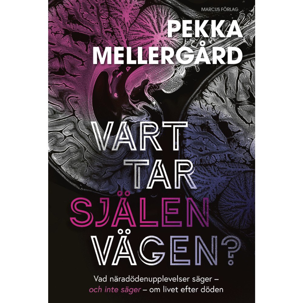 Pekka Mellergård Vart tar själen vägen? : Vad näradödenupplevelser säger – och inte säger – om livet efter döden (bok, kartonnage)